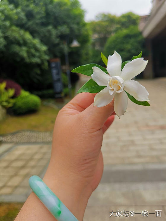 烟雨碧柔天  浑然天一色  落雨欲留人   又生生不舍_旅游