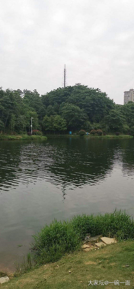 烟雨碧柔天  浑然天一色  落雨欲留人   又生生不舍_旅游