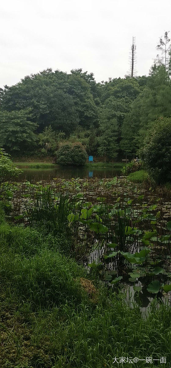 烟雨碧柔天  浑然天一色  落雨欲留人   又生生不舍_旅游