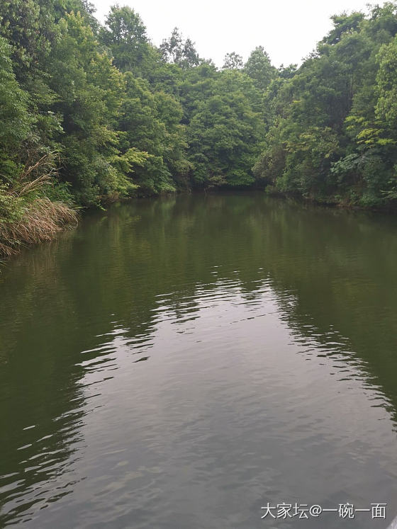 烟雨碧柔天  浑然天一色  落雨欲留人   又生生不舍_旅游