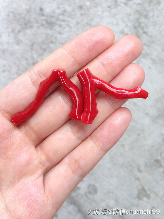 颜色一样的阿卡和莫莫珊瑚～～_珊瑚