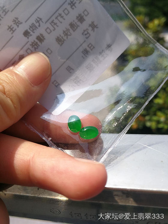 刚到手的耳钉_蛋面翡翠