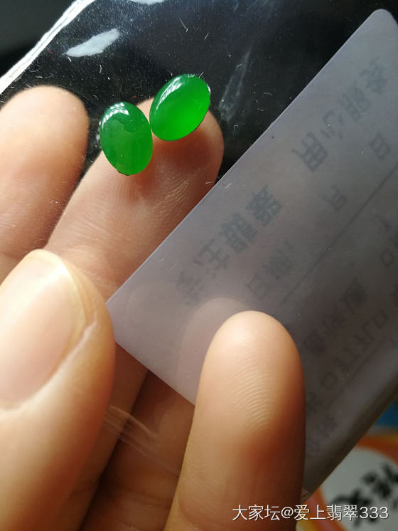 刚到手的耳钉_蛋面翡翠