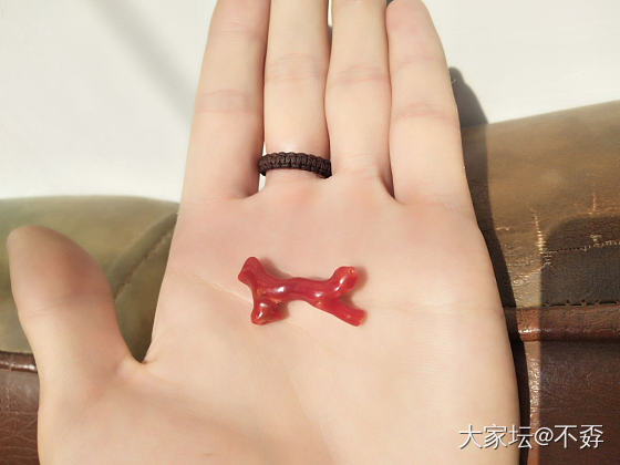 今天秀什么呢_珊瑚