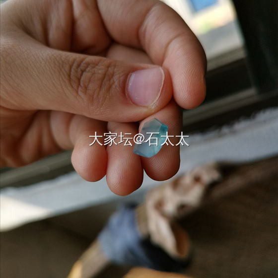 几天没上坛子了