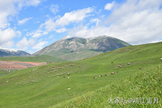 大美昭苏——白石峰（一）_景色旅游