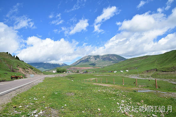 大美昭苏——白石峰（一）_景色旅游