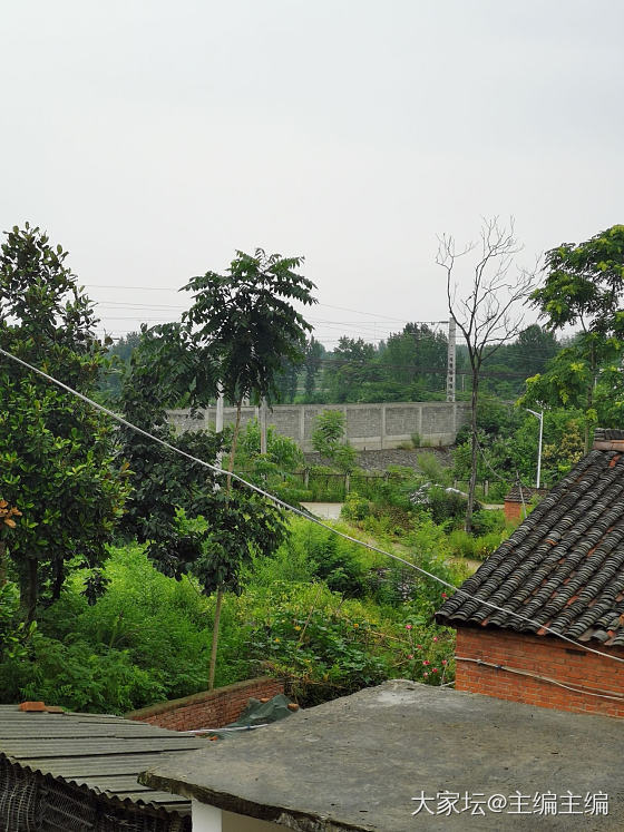 我的小山村，我又回来了