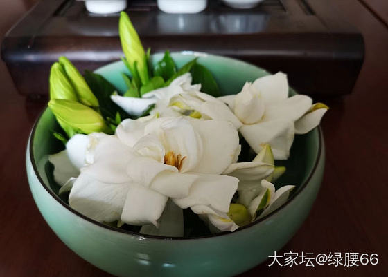 有没有600-75的作业啊？_天猫金