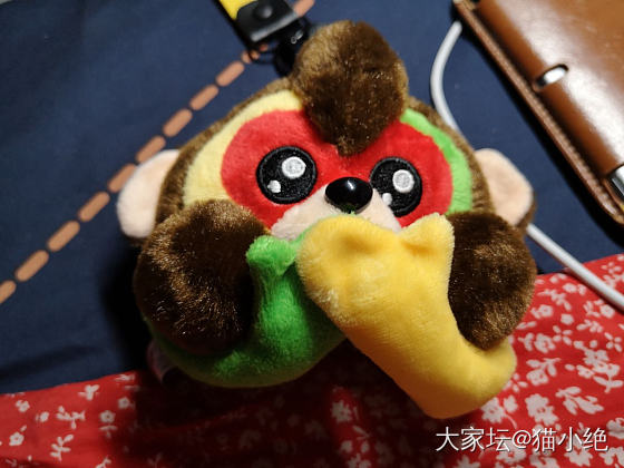 周边使我快乐_玩具