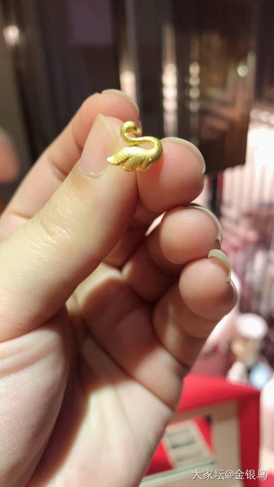 这对蝴蝶颜值不愧为一万点暴击！坛红没错了！_耳钉金