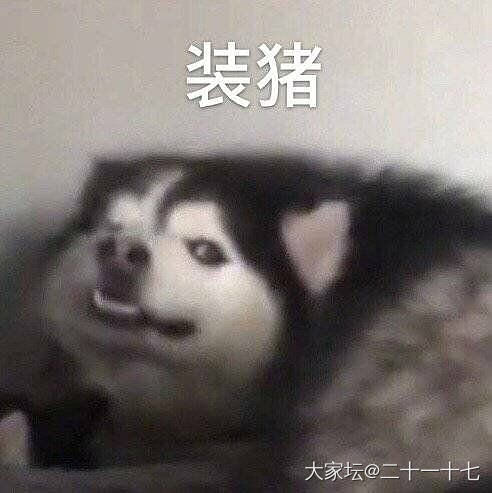 突然觉得轨道镯好好看呀！！_银