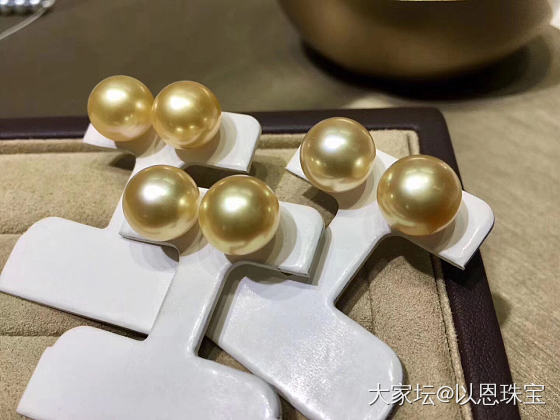 上新货，天然南洋金珠耳钉
18k金镶嵌，直径10-11毫米_珍珠