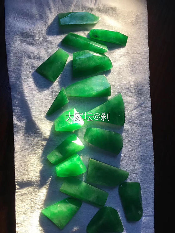 大暴雨的天气 是不是和睡懒觉更配？_翡翠