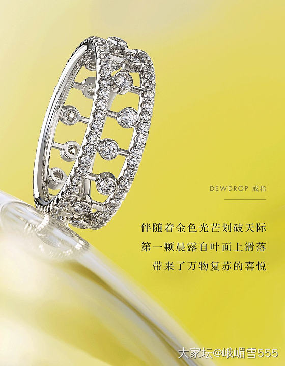 debeers 的露珠系列很美啊_钻石