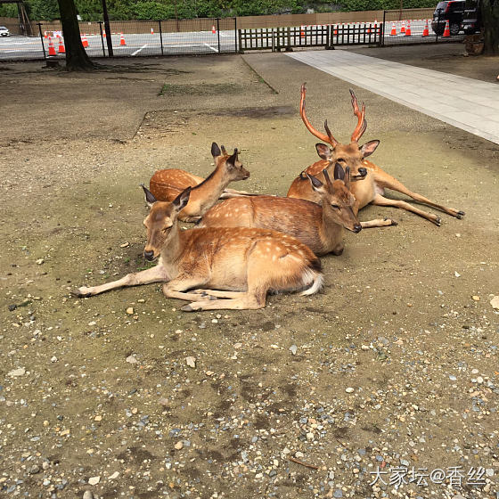 请大家推荐日本购物好去处_旅游日本