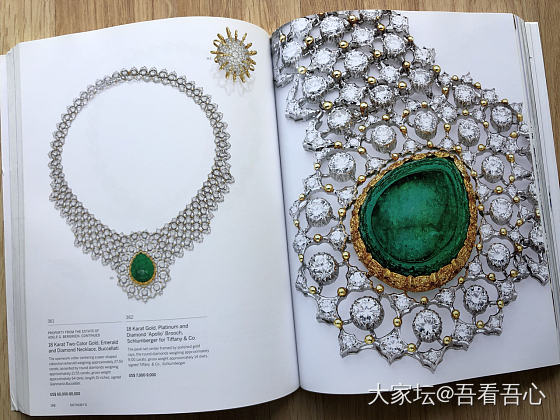 Magnificent Jewels_首饰