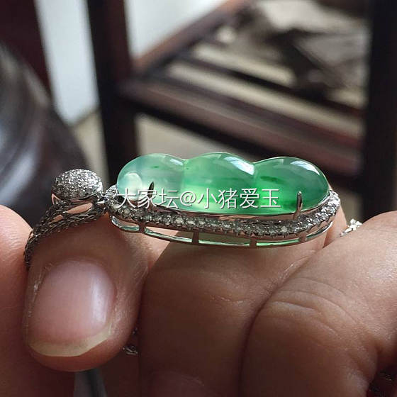 高冰阳绿福豆_挂件翡翠