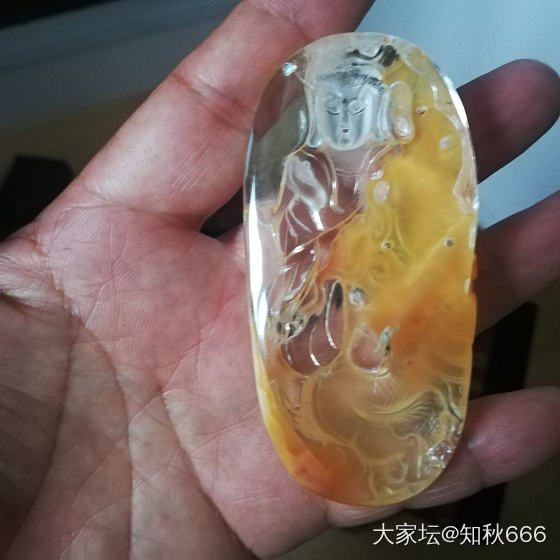 黄兔毛_兔毛晶