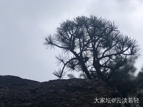 黄山归来不看山，是有道理的，因为脚痛🤦‍♀️_黄山