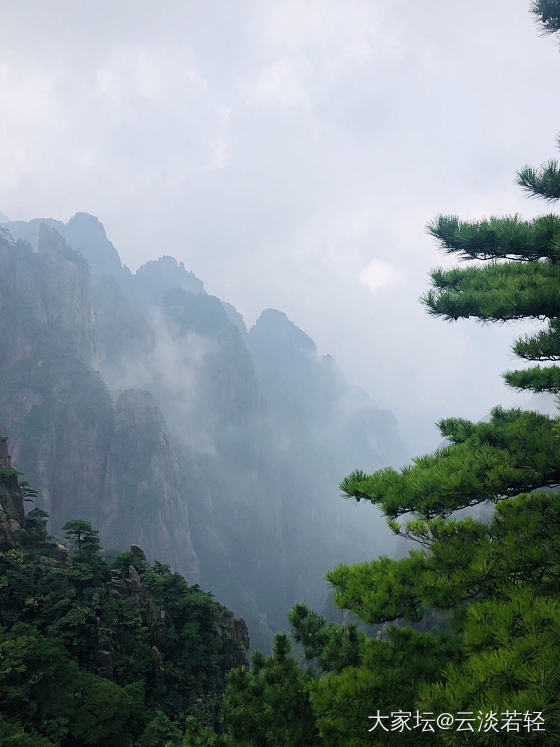 黄山归来不看山，是有道理的，因为脚痛🤦‍♀️_黄山