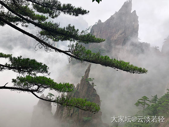 黄山归来不看山，是有道理的，因为脚痛🤦‍♀️_黄山