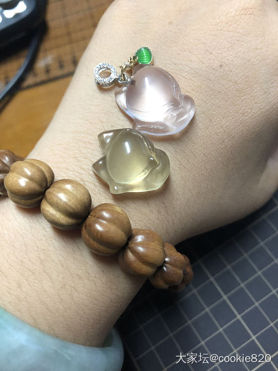 翻出两只小狐狸_水晶