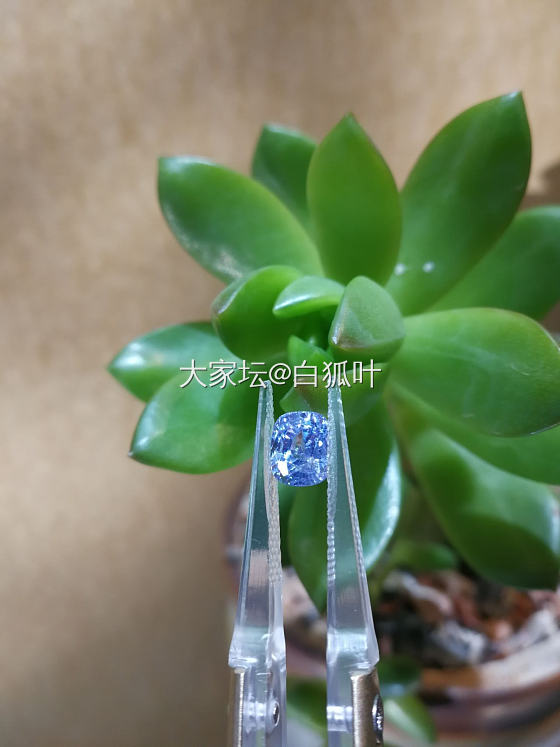 越南尖晶石，特别的薰衣草色_尖晶石
