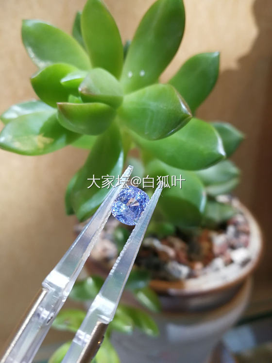 越南尖晶石，特别的薰衣草色_尖晶石
