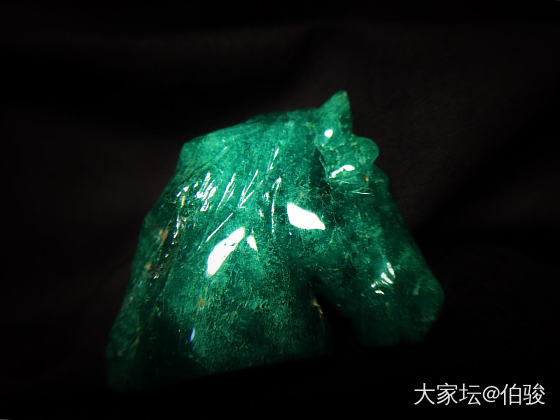 这种稀罕物，告诉我，你绝对没见过。大家可以猜一下？_首饰