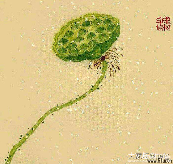 玉树挂霜花_手饰