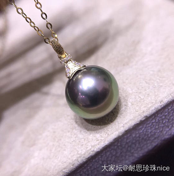 签到打卡_珍珠