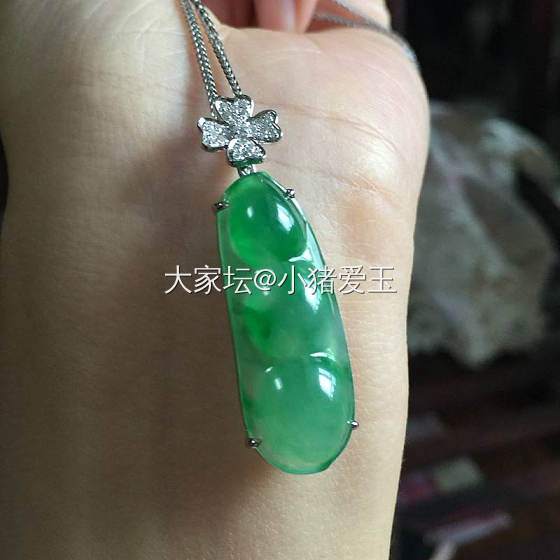 阳绿福豆吊坠_挂件翡翠