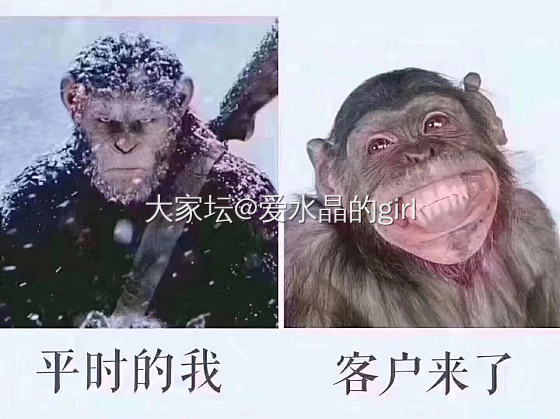 逗比一下