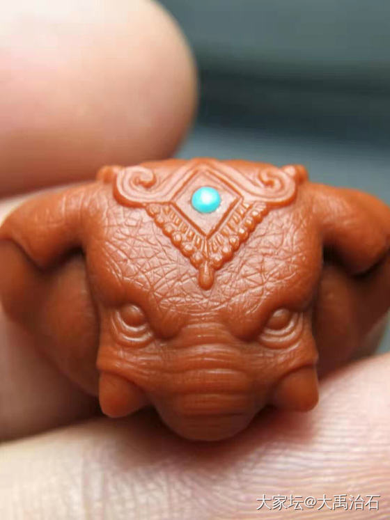 小🐘养成时_南红