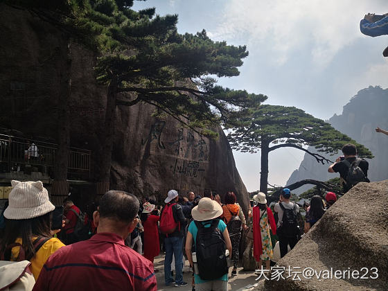 来一场说走就走的独自旅行_黄山旅游