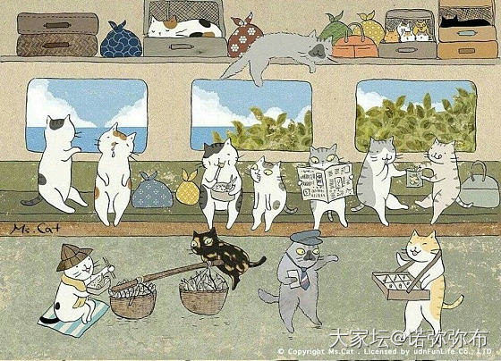 猫的世界_猫贴图