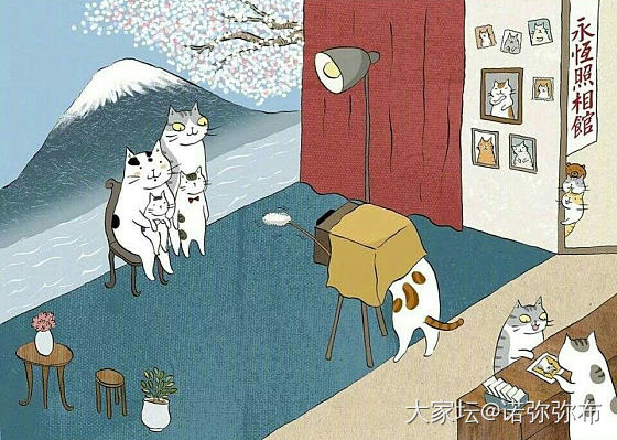 猫的世界_猫贴图