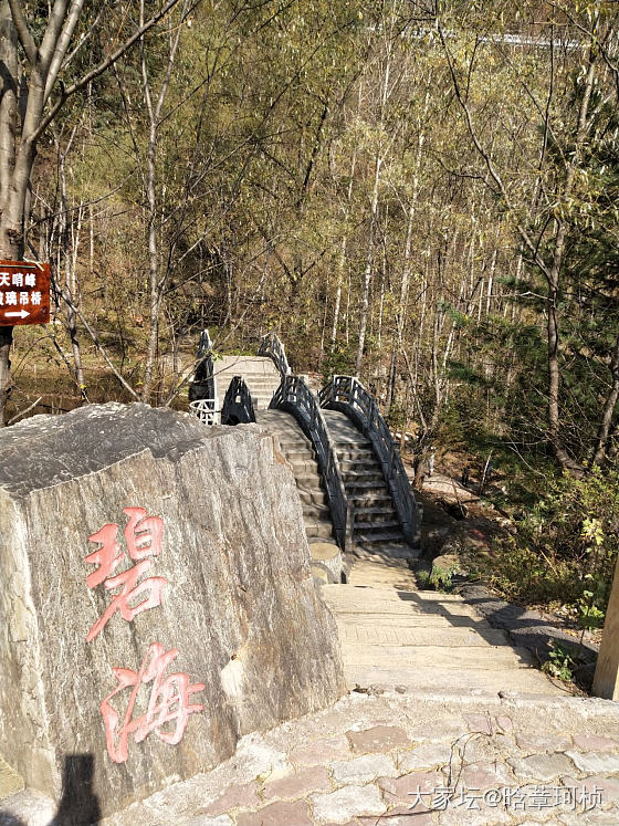 戴着它们威虎山游玩一圈_手饰银