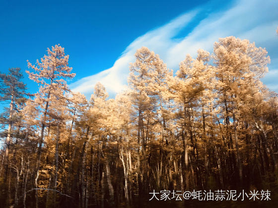 俄罗斯远东的秋_旅游