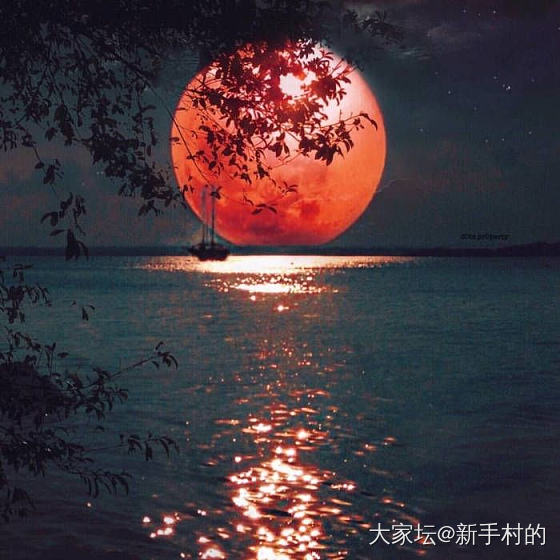 女朋友的手链收到啦。好可爱啊。
剪一弯秋月，湖水连天，往后余生，想怎么捞月都不留..._手饰