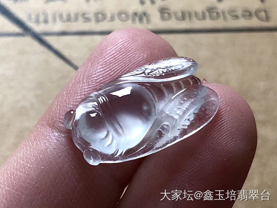 一鸣惊人，需坚持不懈_翡翠