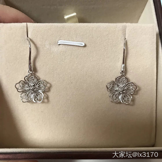 种草这对铂金耳环_耳坠铂