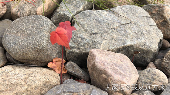 魁北克老城_加拿大旅游