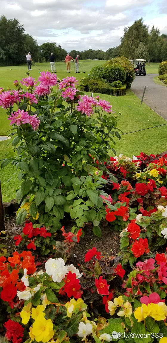 逛园子_植物