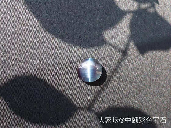 ##中颐天然亚力山大变石猫眼##  1.87ct_变石猫眼金绿宝石名贵宝石