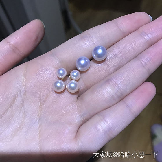 (￣(●●)￣)_耳坠珍珠