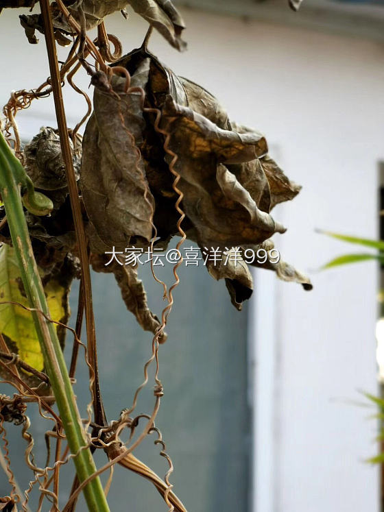 万般美好不尽然，还有粗糙和来不及…只一晃神，就换了番景象🍂