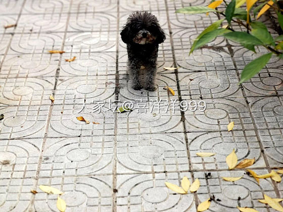 万般美好不尽然，还有粗糙和来不及…只一晃神，就换了番景象🍂