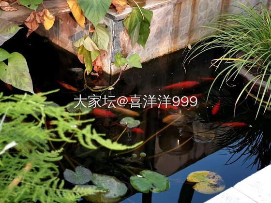 万般美好不尽然，还有粗糙和来不及…只一晃神，就换了番景象🍂
